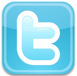 twitter.png (PNG-Grafik, 256x256 Pixel)